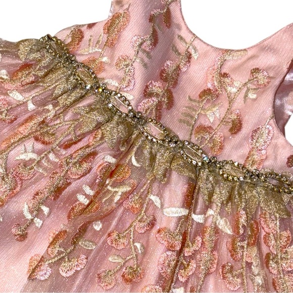 American Princess Baby Girl Dress Set 6M Pink Gold Embroidered Tulle Party Dress - Picture 3 of 10